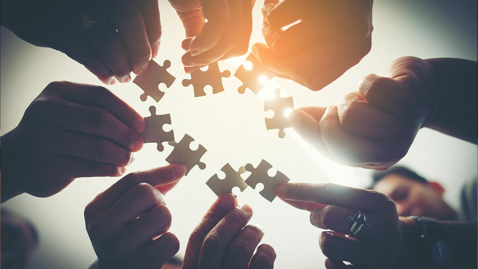 Aktif İnsan Danışmanlık,  Aktif İnsan Eğitim,  Aktif İnsan Oraganizasyon, Eğitim & Seminerler, İş Dünyasında Başarı, Yönetici Gelişim Programları, Satış Eğitimleri, Yönetim Danışmanlığı, Eğitim Danışmanlığı, İK Süreçleri Yönetimi, Kurumsallaşma Danışmanlığı, Müşteri İlişkileri Danışmanlığı, Finans ve Mali İşler Danışmanlığı, Aile Danışmanlığı, Davranışlar ve İnsan İlişkileri, İletişimde Farklı Kişiliklerin Farkında Olma, Etkili İletişim Becerileri, Stres Yönetimi ve Özgüven, Görev Bilinci ve Sorumluluk, Verimlilik ve Etkinlik, Kurum Kültürü ve İş Ahlakı, Kurum Kültürü ve İş Ahlakı, Etkili Davranışlarla Çatışmaları Yönetmek, Zamanı Etkin Kullanma ve Yaşam Yönetimi, Kişisel İmaj, Empatik İletişim, Vizyoner Yönetici Asistanı Anayasası, Yönetici Asistanının Planlanması, Telefonda Etkili Sunum Becerileri, Yazışma ve Raporlama Tekniği, Yüksek Performanslı Takımlar Oluşturmak, Değişim Yönetimi, Karar Verme Teknikleri ve Kişisel Liderlik, Zihin Haritalama ve Not Tutma Teknikleri, Öğrenmeyi Öğrenmek, Yönetimde Başarı Stratejileri, Takım Çalışması ve Liderlik, Yönetici Anayasası, Öğrenen Organizasyon, Motivasyon ve Kişisel Motivasyonu Geliştirme Yolları, Etkili Satış Teknikleri, Müşteri İle Satış Sürecinde İkna Yöntemleri, Müşteri Odaklı Şirket, Etkili Müşteri Memnuniyeti, Satışta Etkili Beden Dili Kullanımı